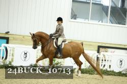 24BUCK_10713 thumbnail