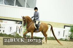 24BUCK_10715 thumbnail
