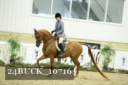 24BUCK_10716 thumbnail