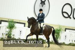 24BUCK_10718 thumbnail