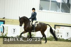 24BUCK_10722 thumbnail