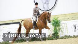 24BUCK_10730 thumbnail