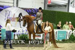 24BUCK_10736 thumbnail