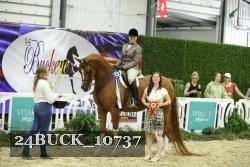 24BUCK_10737 thumbnail