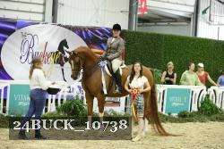 24BUCK_10738 thumbnail