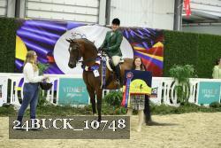 24BUCK_10748 thumbnail
