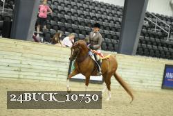 24BUCK_10750 thumbnail