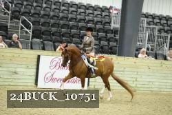 24BUCK_10751 thumbnail