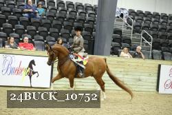 24BUCK_10752 thumbnail
