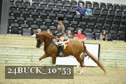 24BUCK_10753 thumbnail