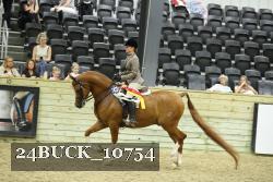 24BUCK_10754 thumbnail