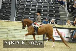24BUCK_10757 thumbnail
