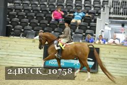 24BUCK_10758 thumbnail