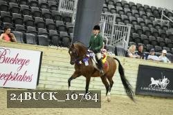 24BUCK_10764 thumbnail