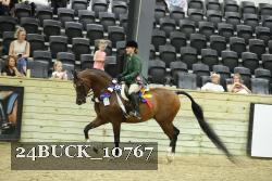 24BUCK_10767 thumbnail