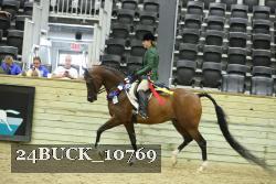 24BUCK_10769 thumbnail