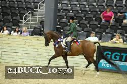 24BUCK_10770 thumbnail