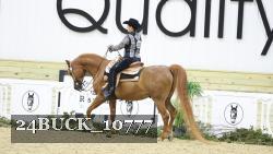 24BUCK_10777 thumbnail