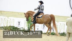 24BUCK_10778 thumbnail