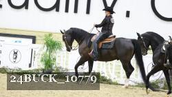 24BUCK_10779 thumbnail