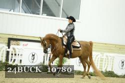 24BUCK_10780 thumbnail