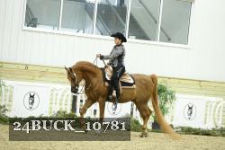 24BUCK_10781 thumbnail