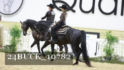 24BUCK_10782 thumbnail