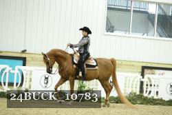 24BUCK_10783 thumbnail