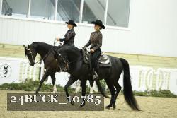24BUCK_10785 thumbnail