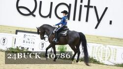 24BUCK_10786 thumbnail
