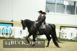 24BUCK_10787 thumbnail