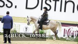 24BUCK_10788 thumbnail