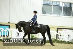 24BUCK_10793 thumbnail