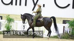 24BUCK_10795 thumbnail
