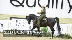 24BUCK_10796 thumbnail