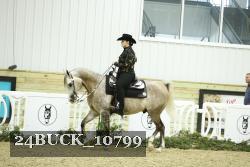 24BUCK_10799 thumbnail