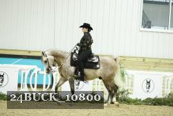 24BUCK_10800 thumbnail
