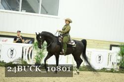 24BUCK_10801 thumbnail