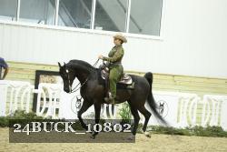 24BUCK_10802 thumbnail