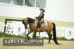 24BUCK_10810 thumbnail