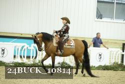 24BUCK_10814 thumbnail