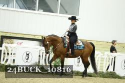 24BUCK_10816 thumbnail