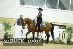 24BUCK_10818 thumbnail