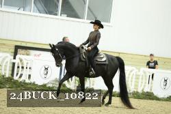 24BUCK_10822 thumbnail