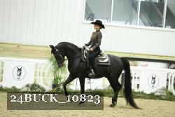24BUCK_10823 thumbnail