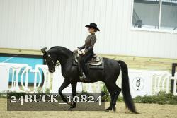 24BUCK_10824 thumbnail