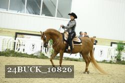 24BUCK_10826 thumbnail