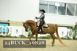 24BUCK_10828 thumbnail