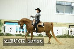 24BUCK_10829 thumbnail