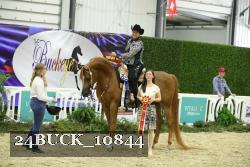 24BUCK_10844 thumbnail
